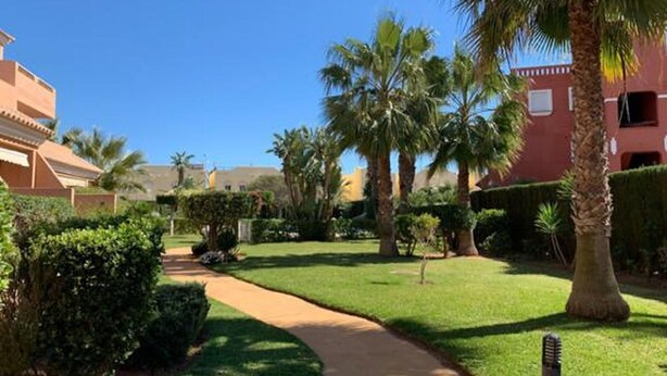A pathway leading through a well-maintained garden with palm trees and neatly trimmed hedges.