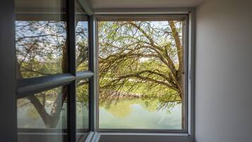 A window with a view of a tree and a body of water.