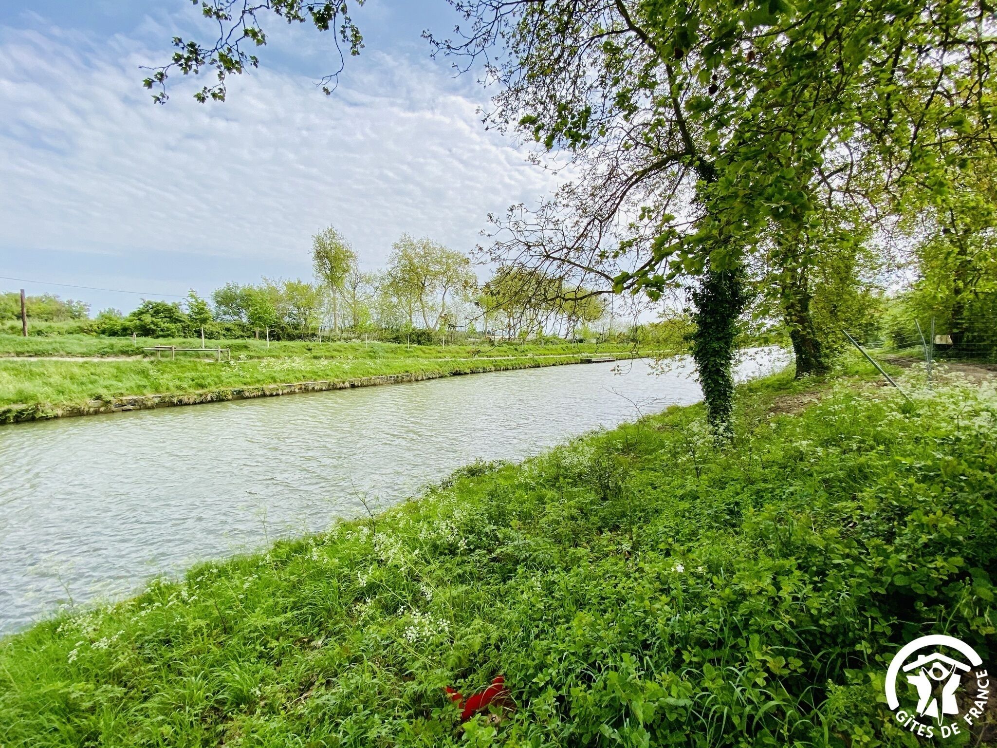 Ein Fluss mit einer grünen Uferböschung und Bäumen.