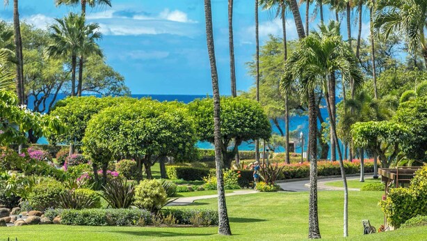 A lush garden with palm trees, a pathway, and a view of the ocean. - Ground Floor Condo w/Kitchen - Kamaole Sands 3102 (Kihei)