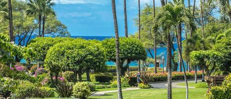 Terrain de l’hébergement