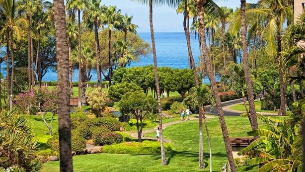 A lush garden with palm trees and a pathway leading to a beach.