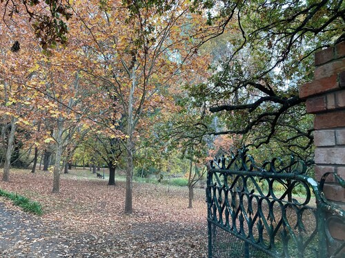 1863 Georgian Mansion in Victoria's North East (pet friendly)