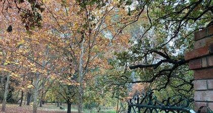 1863 Georgian Mansion in Victoria's North East (pet friendly)