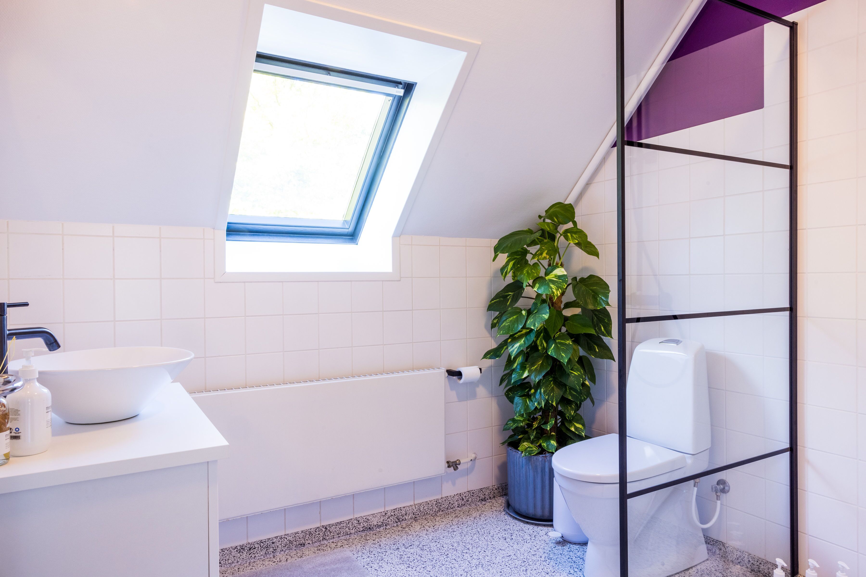 Un baño moderno con tragaluz, azulejos blancos, un lavamanos blanco, inodoro y una planta en maceta.