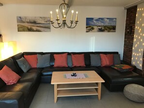 TV connectée, cheminée, lecteur de DVD, livres