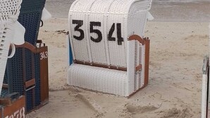 A beach with numbered beach chairs and a view of the ocean.