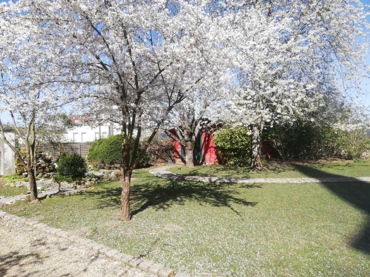 A garden with cherry blossom trees, a stone pathway, and a red building in the background.