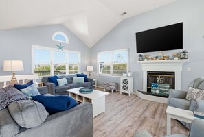 TV, fireplace, DVD player, books