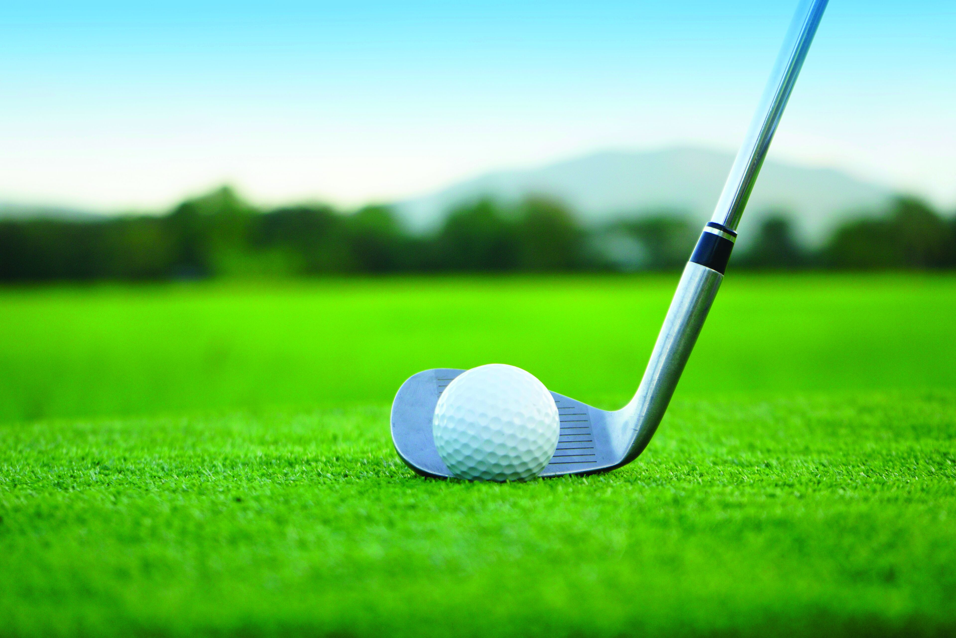 A golf ball on a tee on a green field with a clear sky.