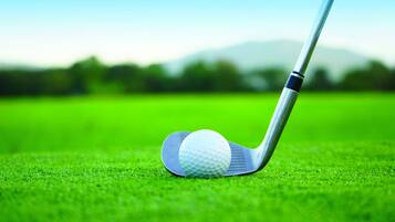 A golf ball on a tee on a green field with a clear sky.