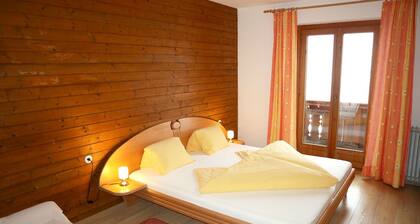 Cozy apartment on the Fügenberg