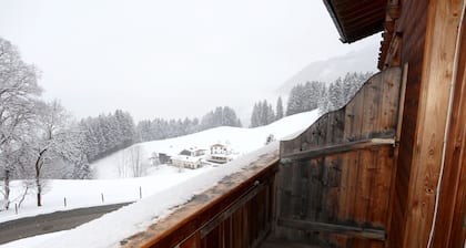 Cozy apartment on the Fügenberg