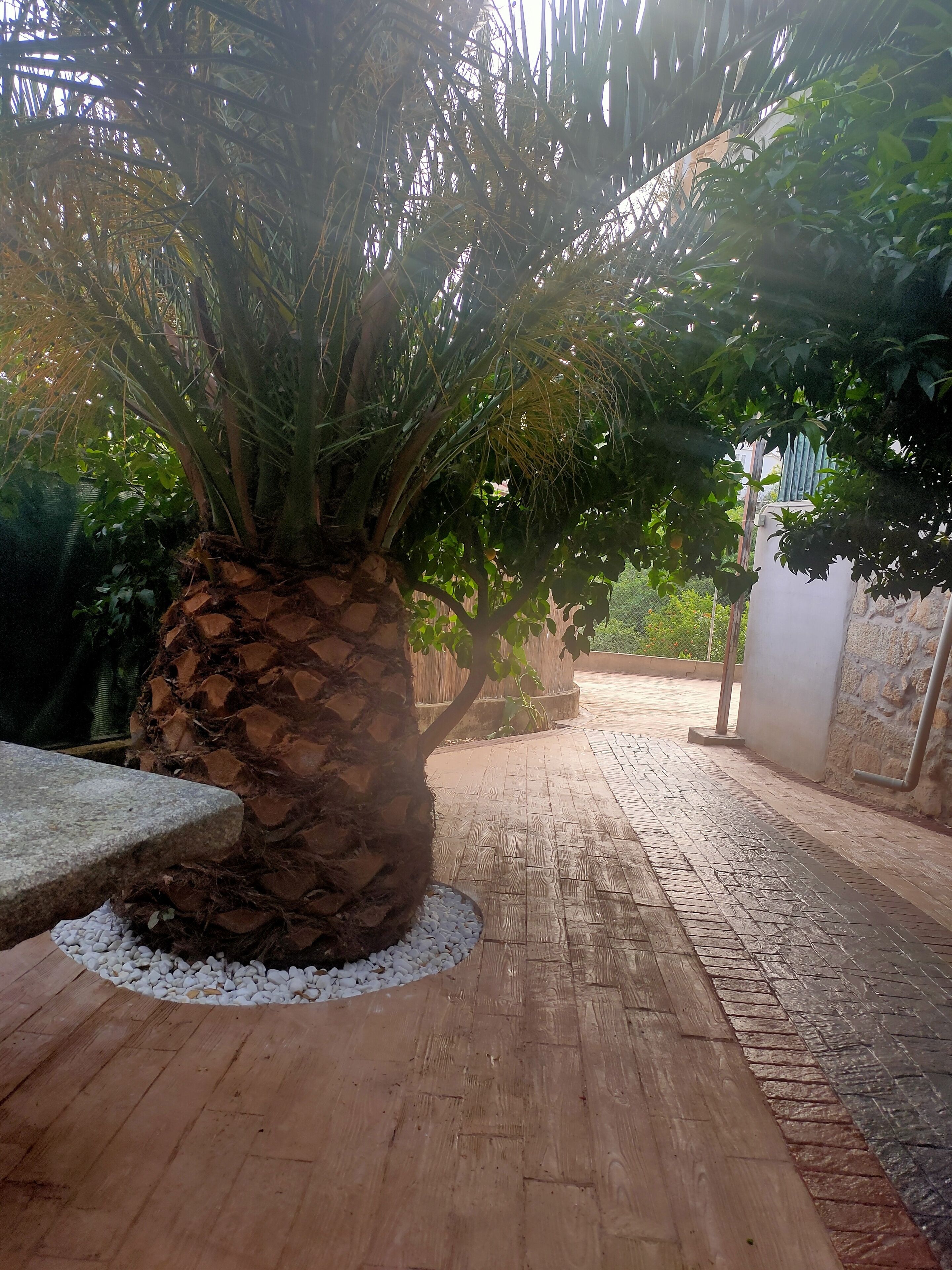 Jardines del alojamiento