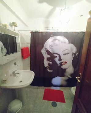 Ensemble douche/baignoire, sèche-cheveux, bidet, serviettes fournies