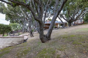 A residential property with a large tree, a patio with outdoor furniture, and a house with a visible chimney.