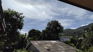 Vista de una casa con techo de tejas, rodeada de abundante vegetación y árboles.