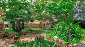 A rustic garden with stone walls, a palm tree, and various plants. - Can Garbeta by Rentallorca (Manacor)