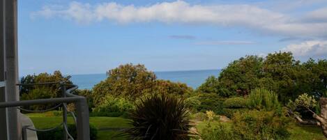 Apartamento | 7 quartos