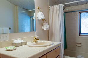 Combined shower/bathtub, jetted bath, hair dryer, towels