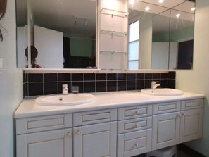 Bathtub, hair dryer, toilet paper