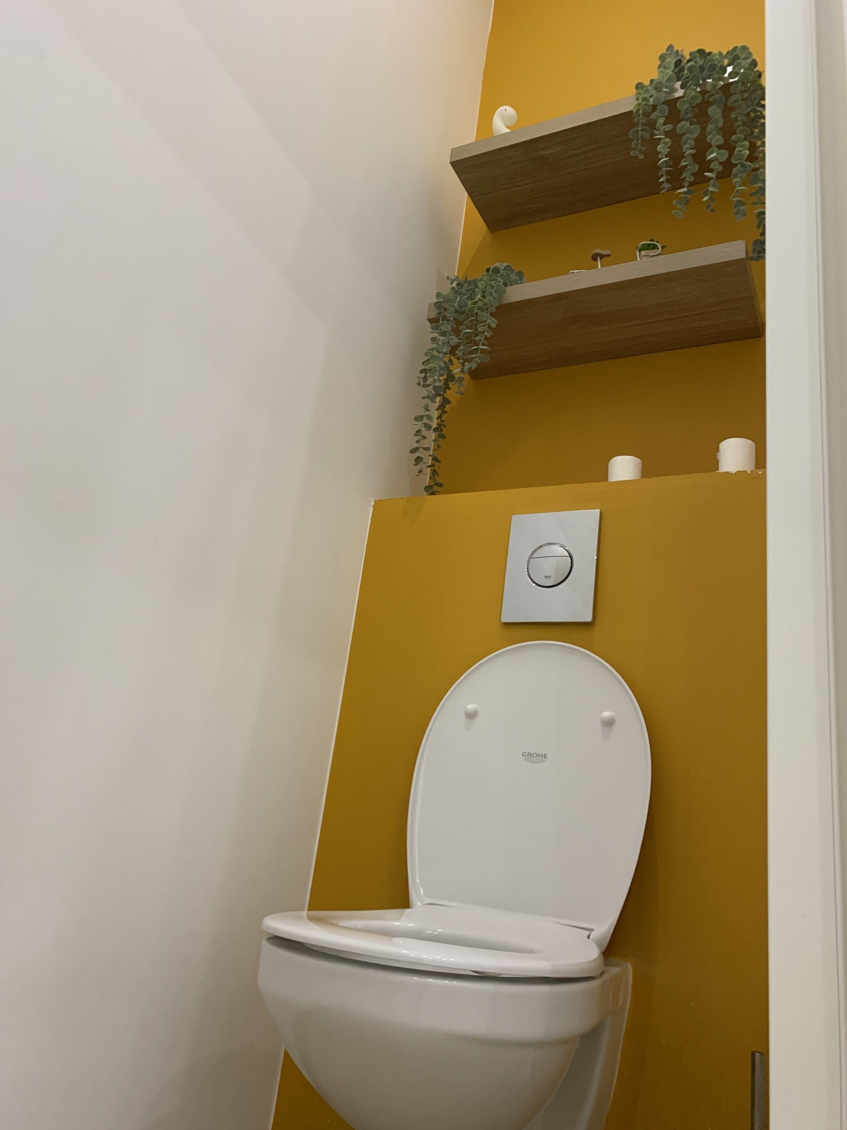 Des toilettes avec un abattant et un couvercle blancs, une commande de chasse d’eau fixée au mur et une étagère avec des plantes et du papier toilette.