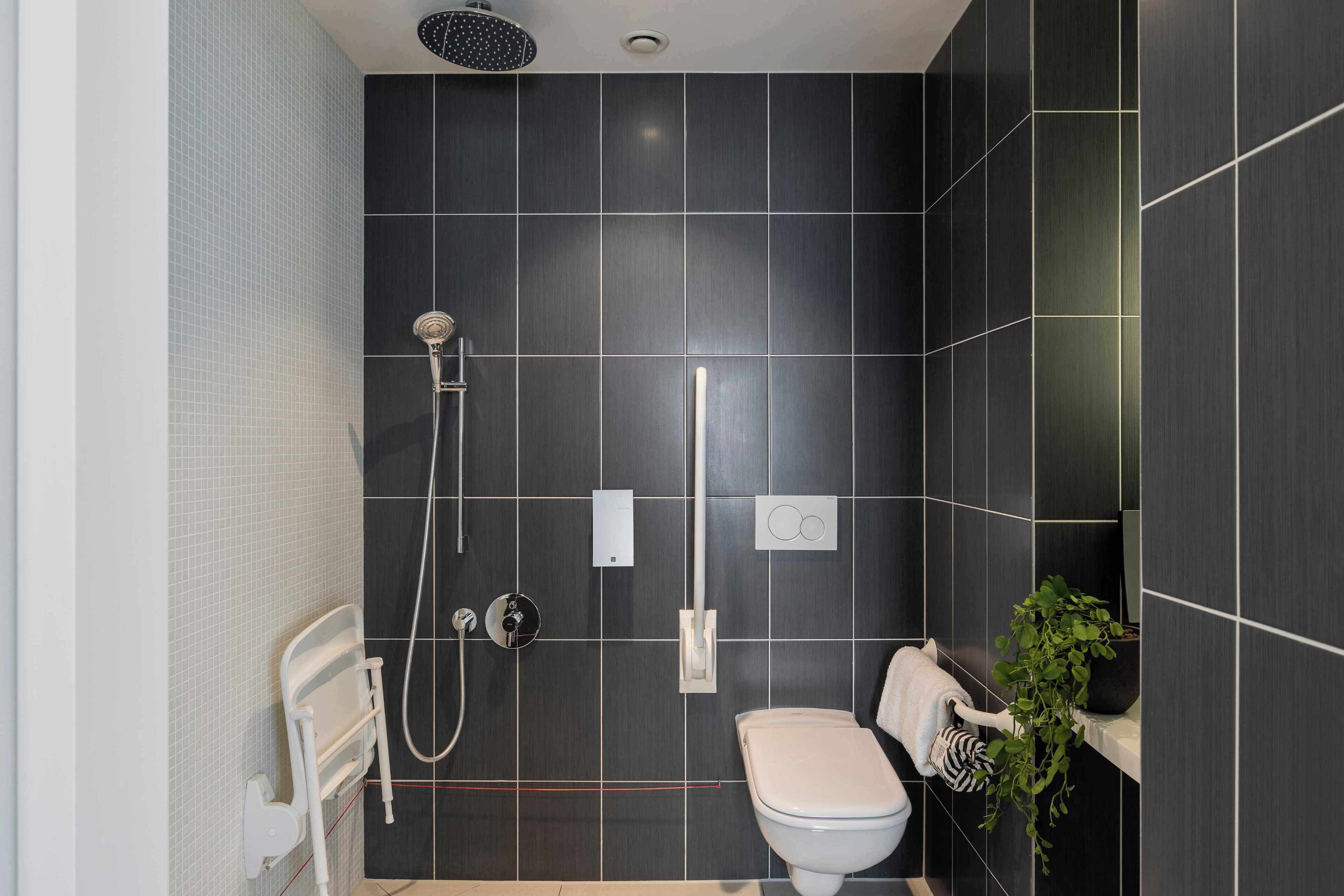 A modern bathroom with a shower, toilet, and a potted plant.