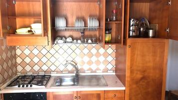 Fridge, oven, stovetop, cookware/dishes/utensils