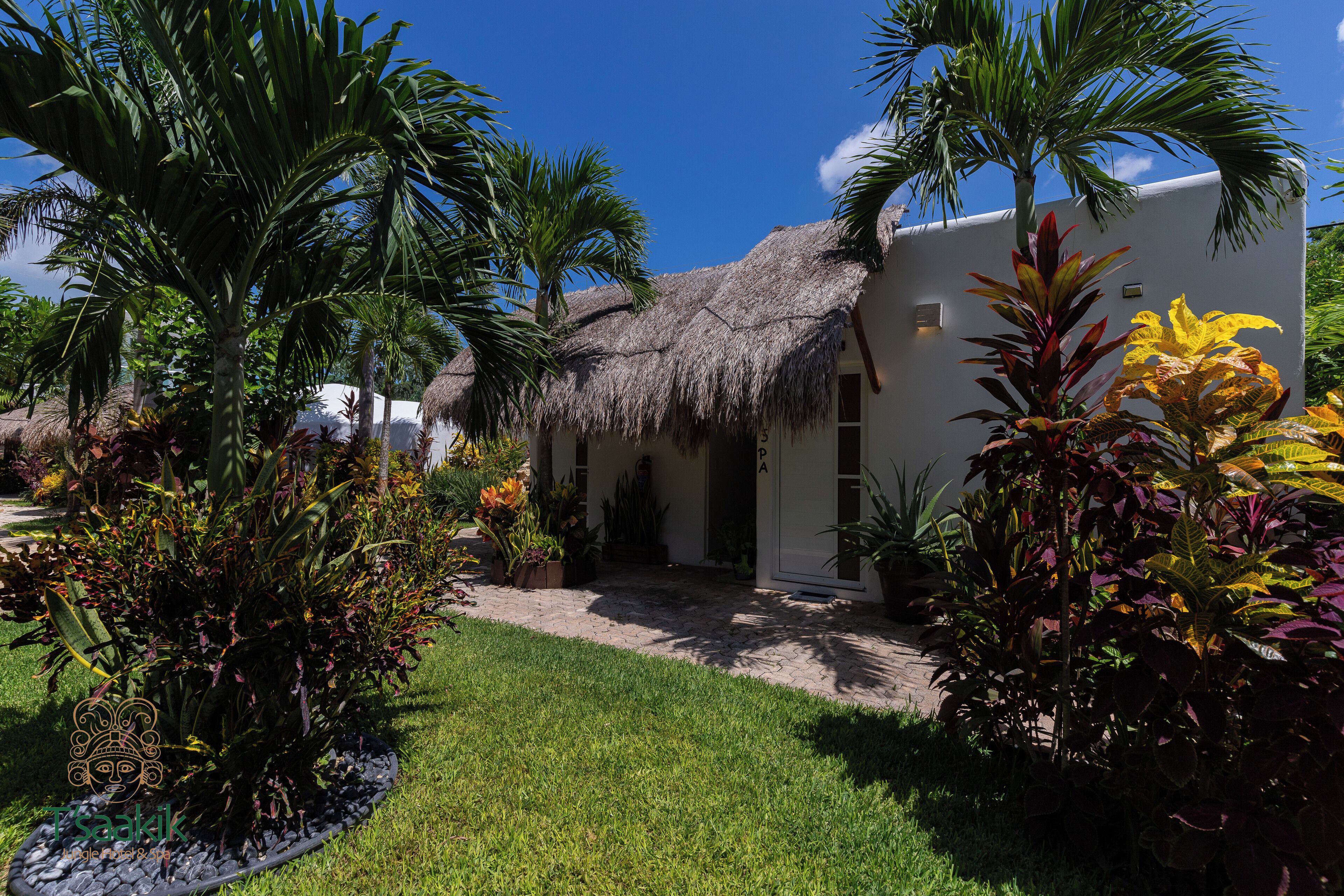 couples treatment room(s), body treatments, aromatherapy