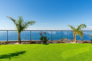 A grassy area with palm trees and a view of the ocean.