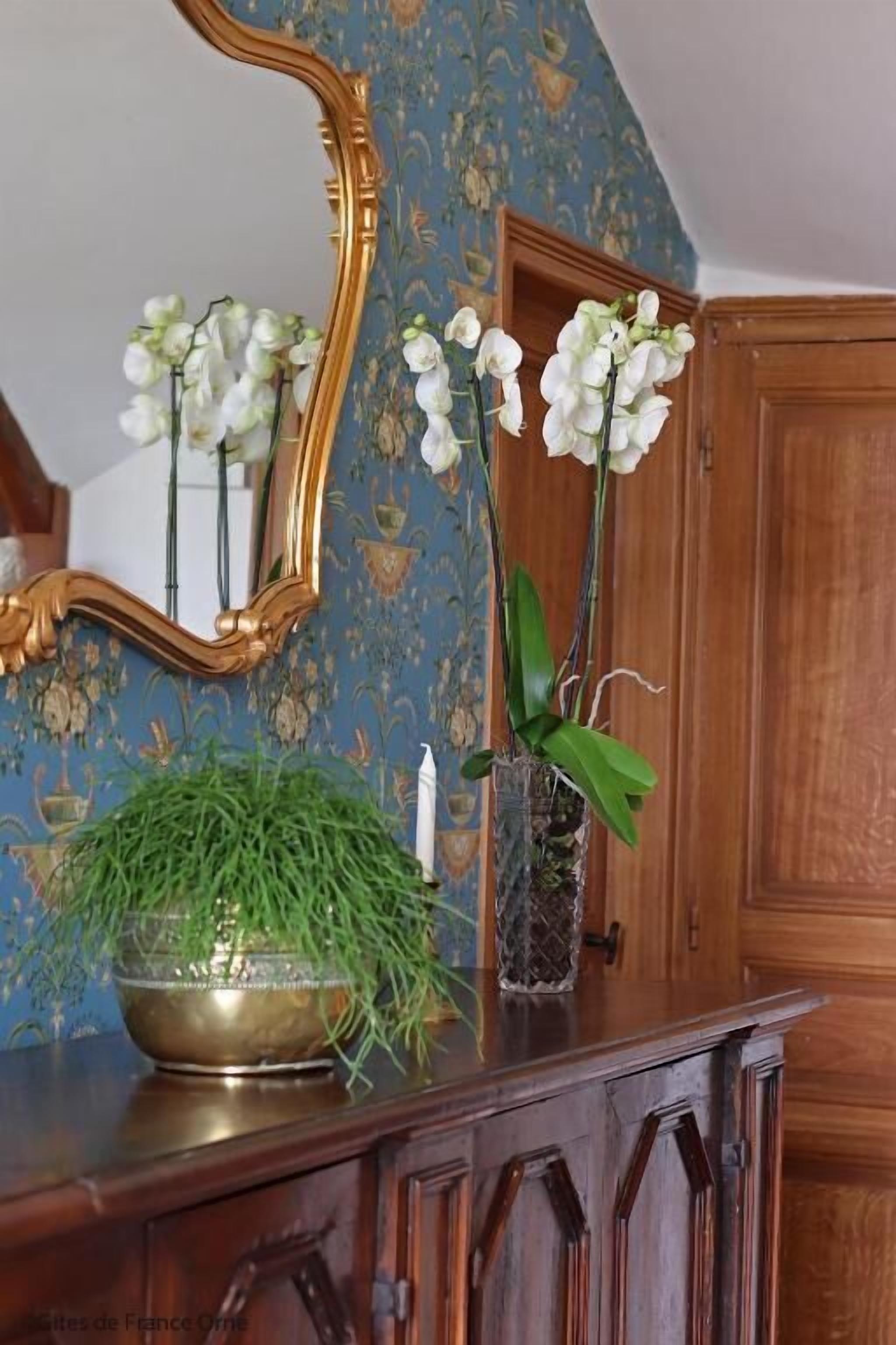 Un mueble de madera con un espejo, un jarrón con orquídeas blancas y un cuenco con plantas verdes.
