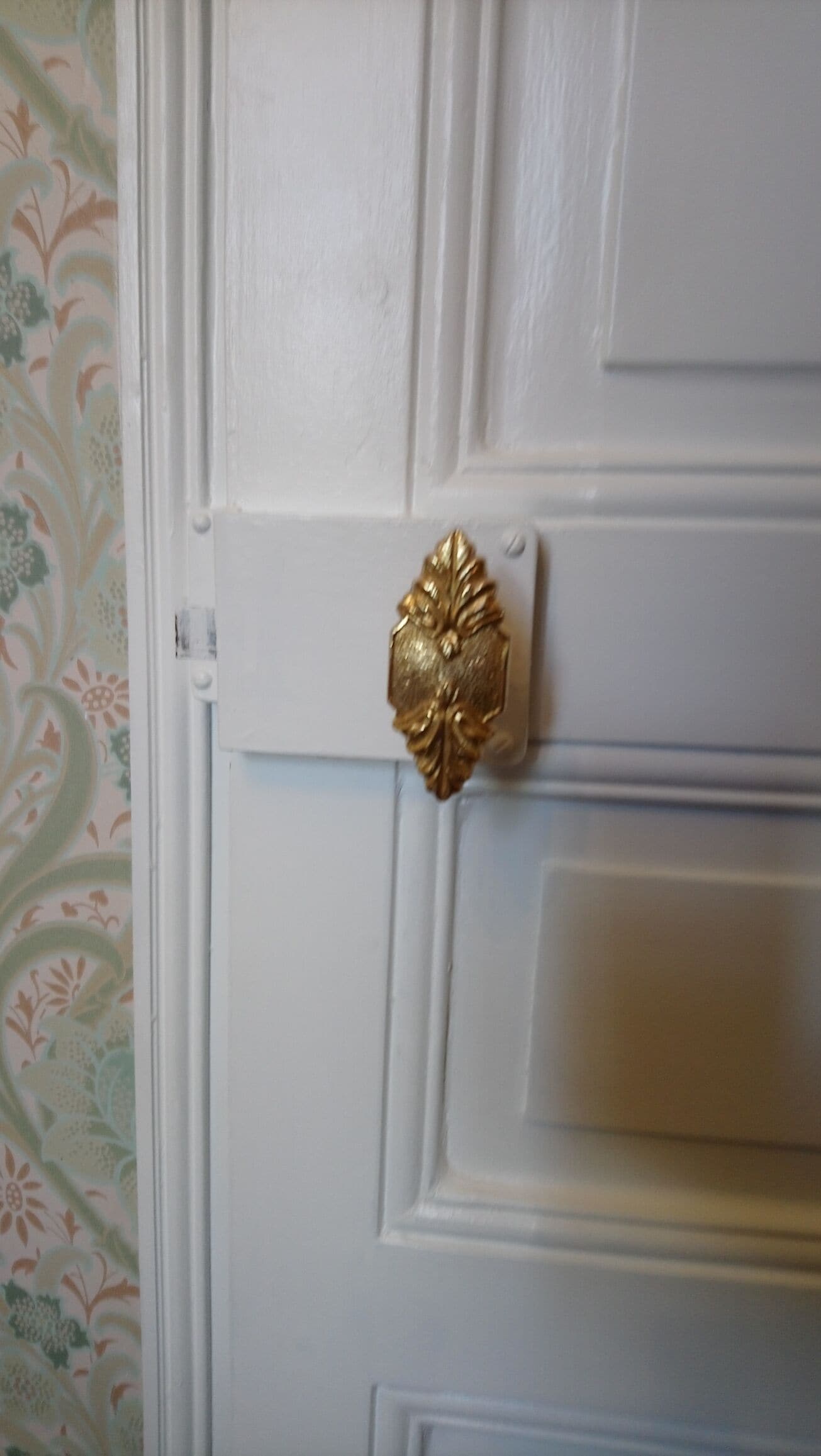 A white door with a gold decorative handle.