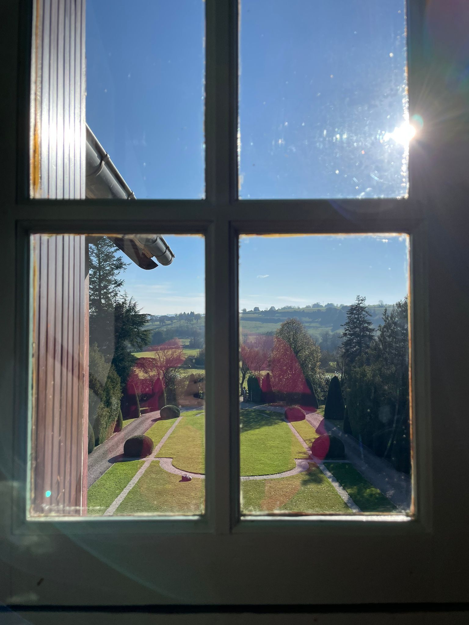 A window view of a garden with a lawn, trees, and a clear sky.