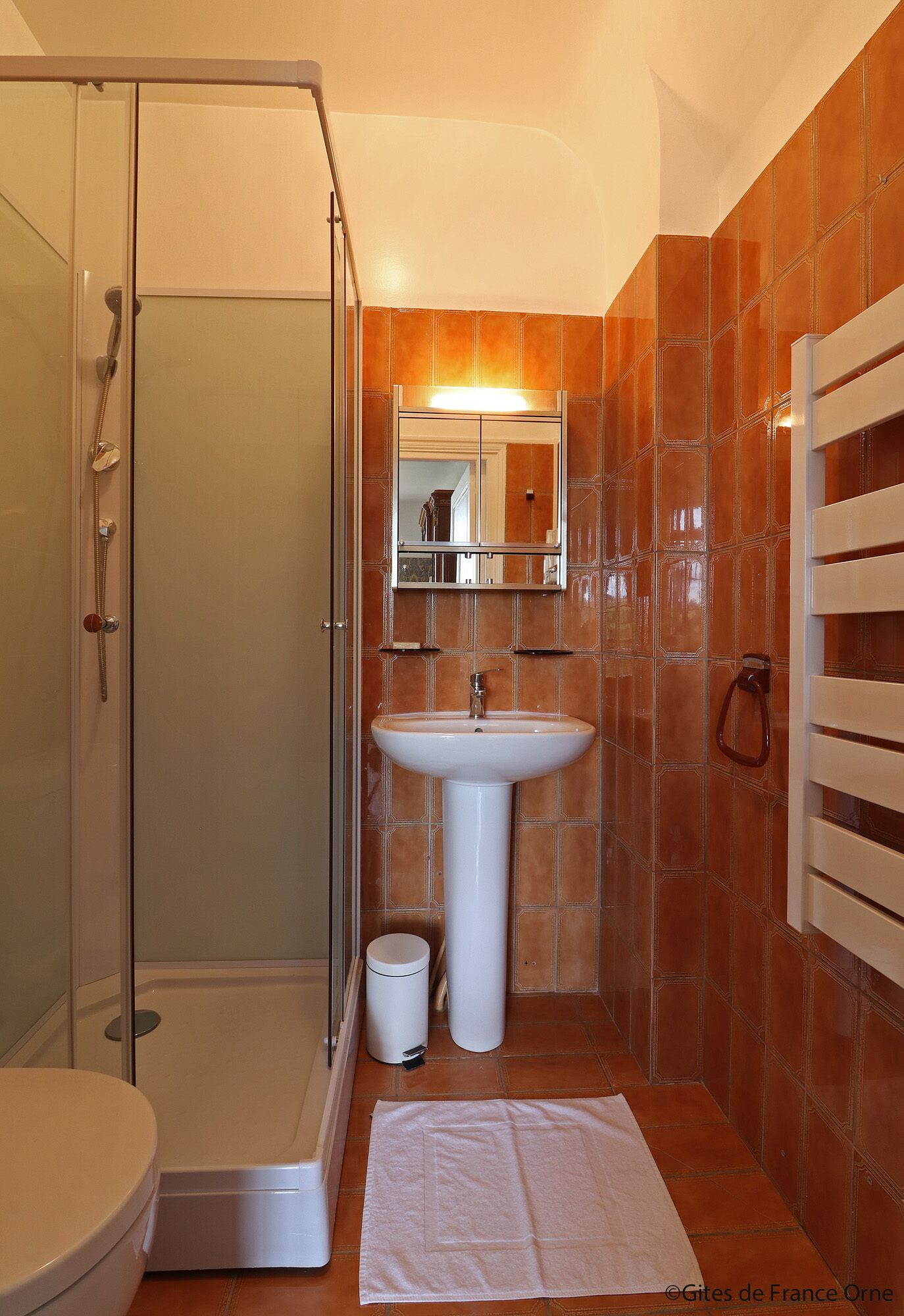 A bathroom with a shower, toilet, sink, and towel rack.