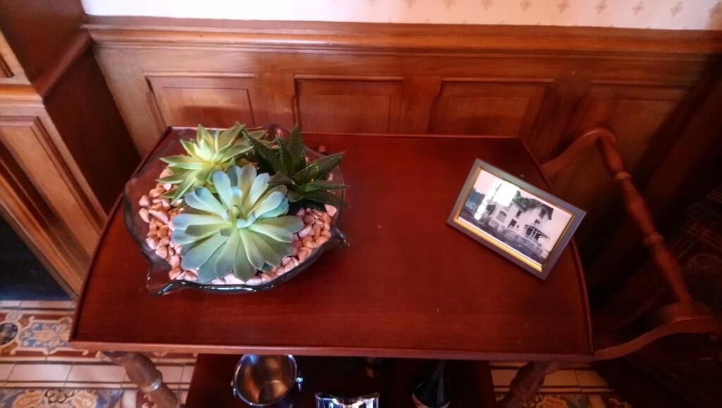 A wooden dining table with a glass bowl containing green plants and peanuts. A framed photograph is placed on the table.