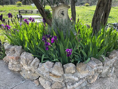 Superb Atypical Loft In Provence