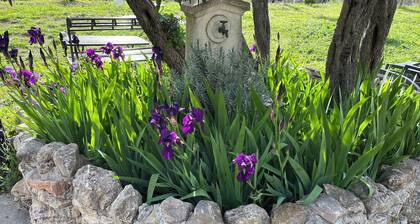 Superb Atypical Loft In Provence