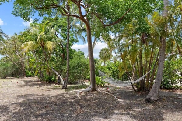 Property grounds - The Palms Cottage Three- A Green Haven on Sanibel's East End (Sanibel)