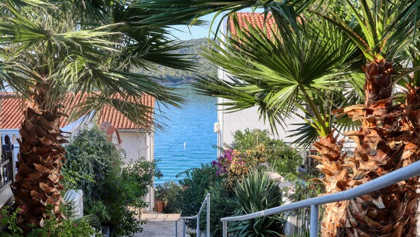 A coastal property with a staircase leading to a balcony overlooking the sea, surrounded by palm trees and a red-tiled building. - Villa Pina Tisno TOP**** Apartment Luca 4-6 Persons (Tisno)
