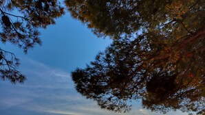 A sunset over a calm sea with rocky shores and trees framing the view. - Villa Pina Tisno TOP**** Apartment Luca 4-6 Persons (Tisno)