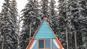 Una cabaña de color azul y naranja, rodeada de árboles cubiertos de nieve.
