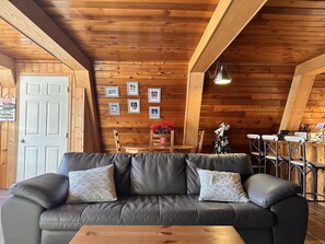 Smart TV, fireplace, Netflix, books
