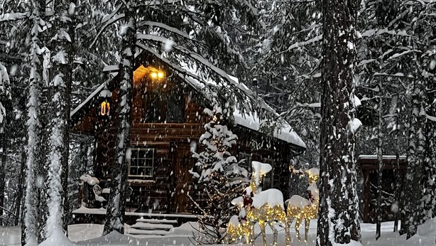 Una baita di legno con tetto imbiancato dalla neve, circondata da alberi.