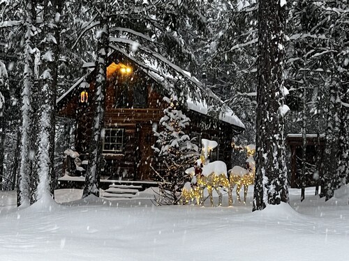 Trappers Cabin, Tiny home, Romantic get away