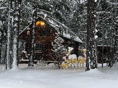 Trappers Cabin, Tiny home, Romantic get away