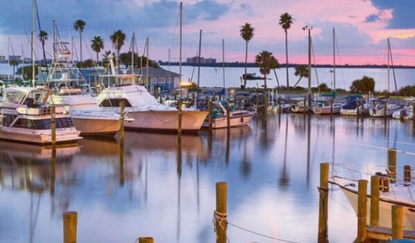 Marina - Downtown Dunedin With Privacy Yet Close To It All (Dunedin)