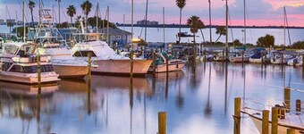 Downtown Dunedin With Privacy Yet Close To It All