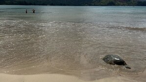 Ein Strand mit klarem Wasser, einem Felsen im Sand und Bergen im Hintergrund.