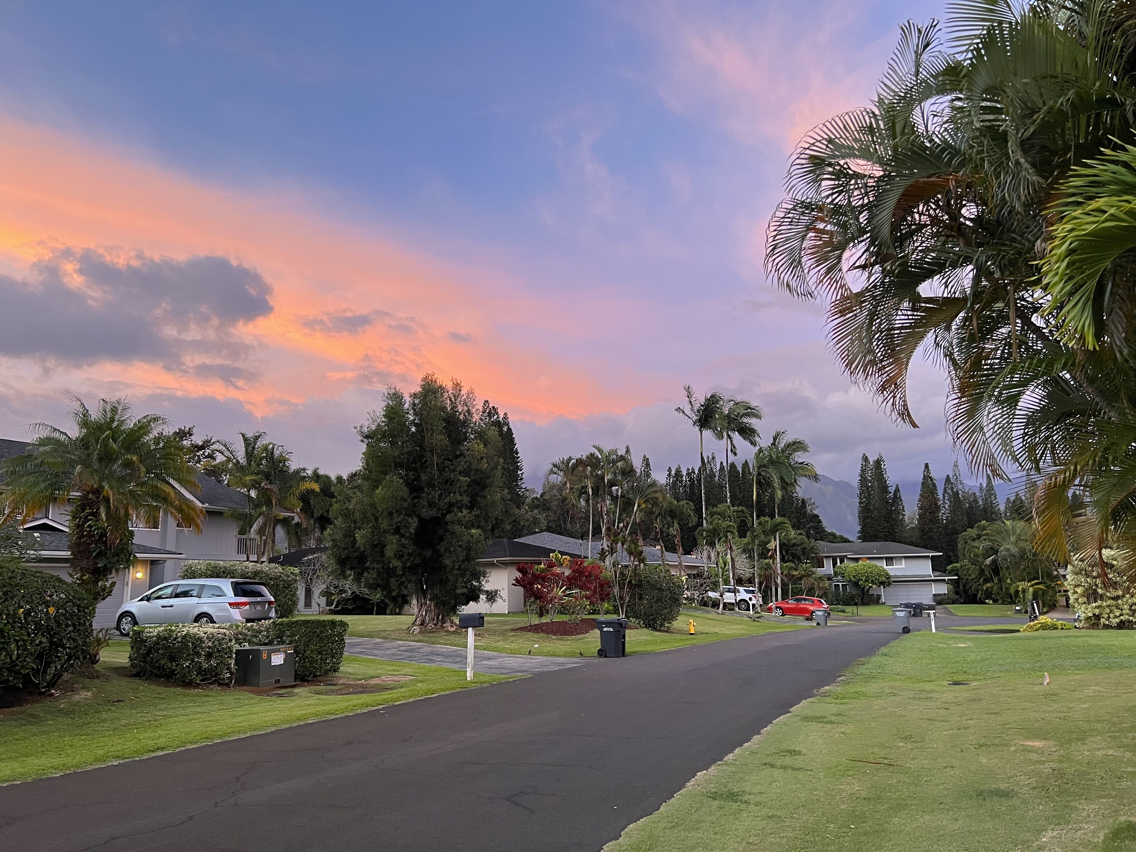A residential street with houses, palm trees, and a clear sky.