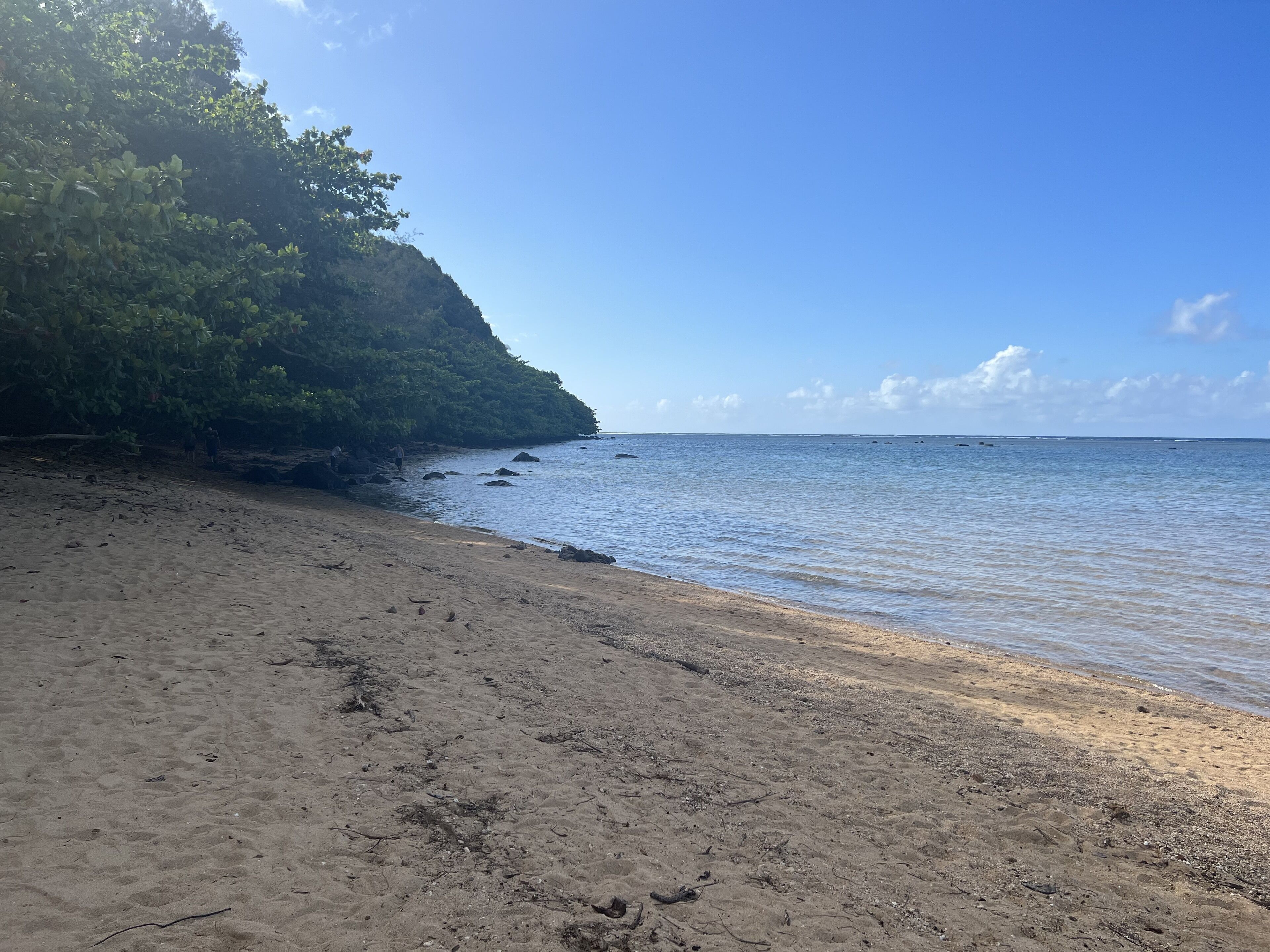 Ein Strand mit sandigem Ufer und einer felsigen Klippe mit Vegetation.